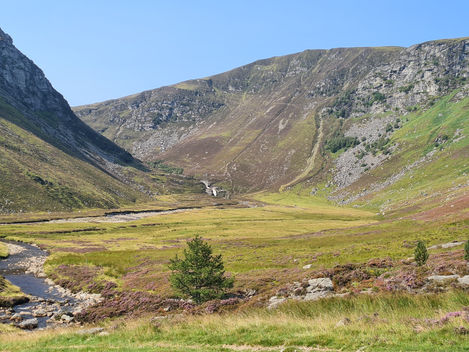 World Suicide Prevention Day 2021