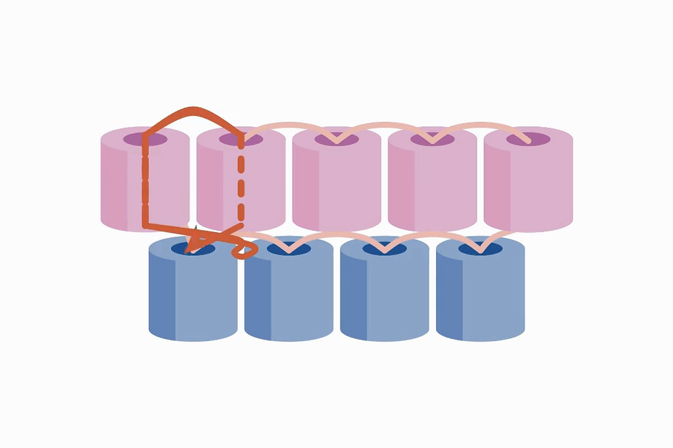 The thread loops back through the last two beads at the end of the row