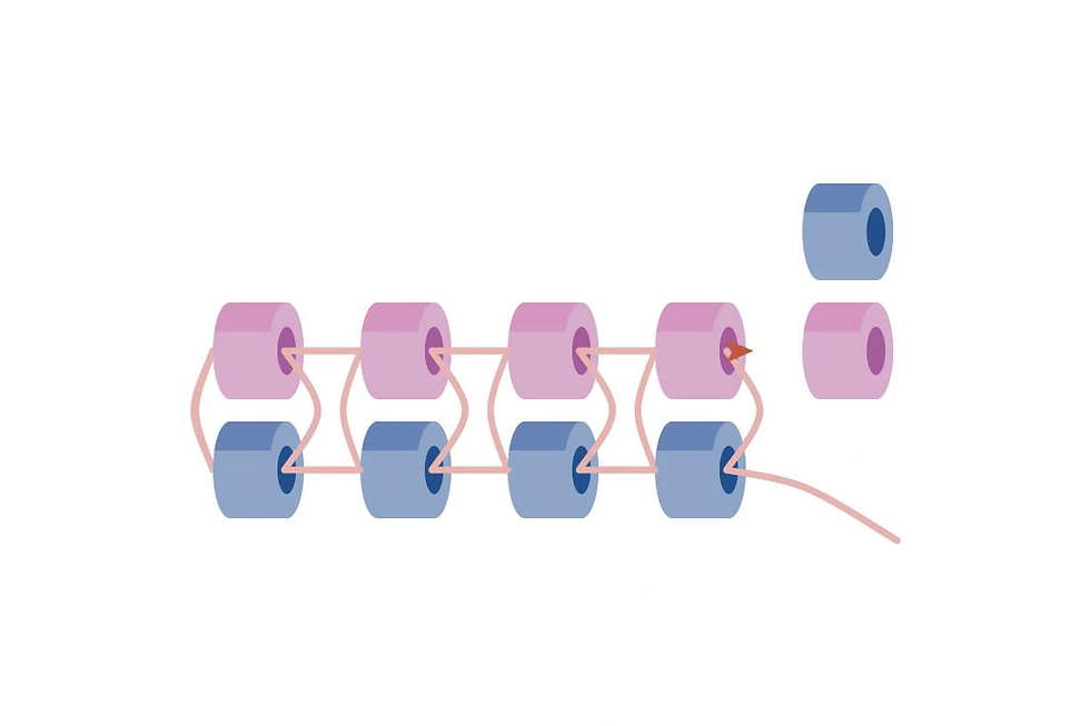 Two new beads at the end: one extending row 2, one starting row 3