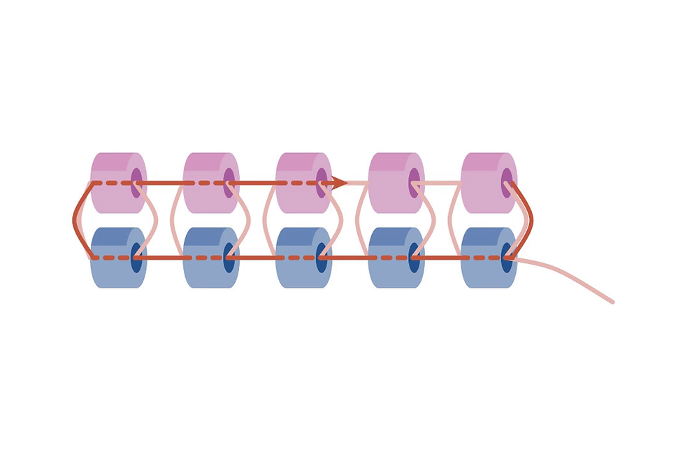 The thread passes through row 1 and back along row 2
