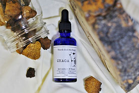 Chaga