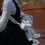 縮圖：Bolso de peluche de husky