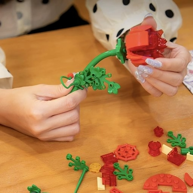 縮圖：Little Prince Building Blocks