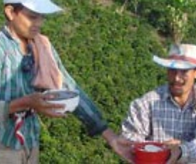 Screen Shot 2021-11-01 at 11.37.56 AM.png