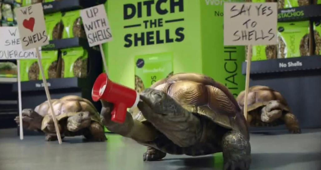 Sheldon Say no to Shells