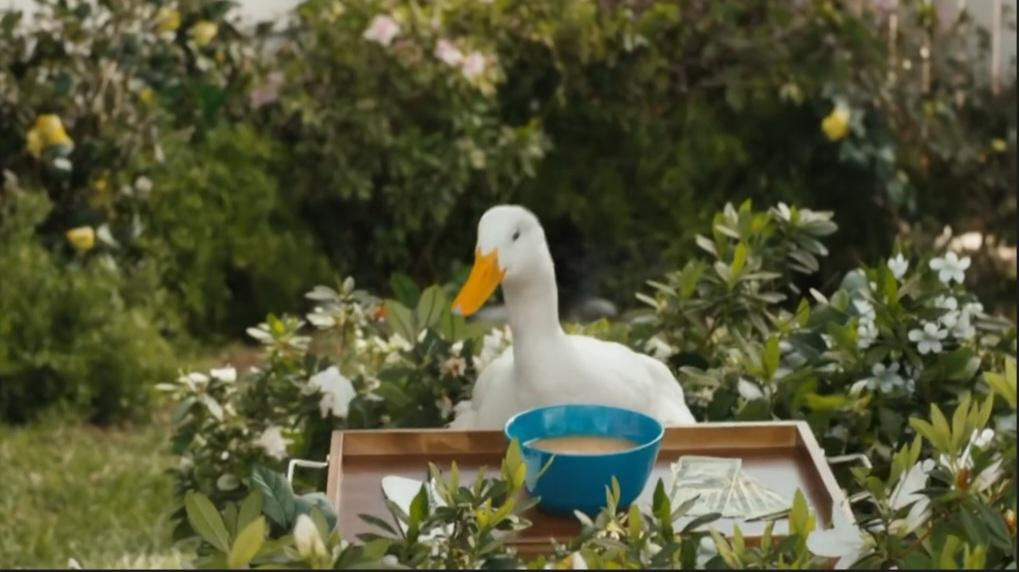 Aflac Good Break 2