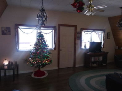 Decorated Christmas tree in a cozy living room gallery