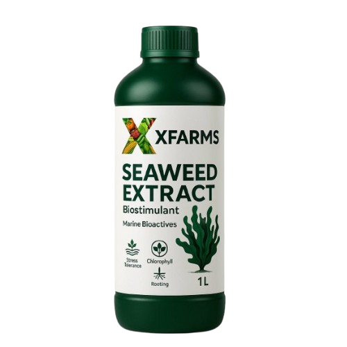 Seaweed Extract