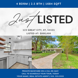 Baus Haus Example of Real Estate Agent Just Listed Social Media Post