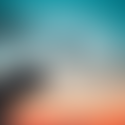 7. díl: Airbus, A300 a jejich příběh (letecký podcast VE VZDUCHU)