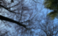 a5ad69a1-913b-4c7d-942f-f9588b27046a.jpe