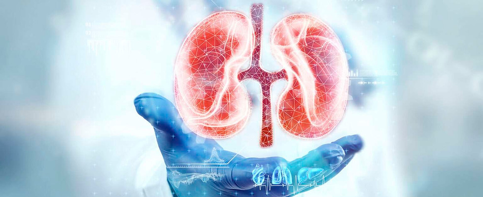 urology-1536x1077.jpg