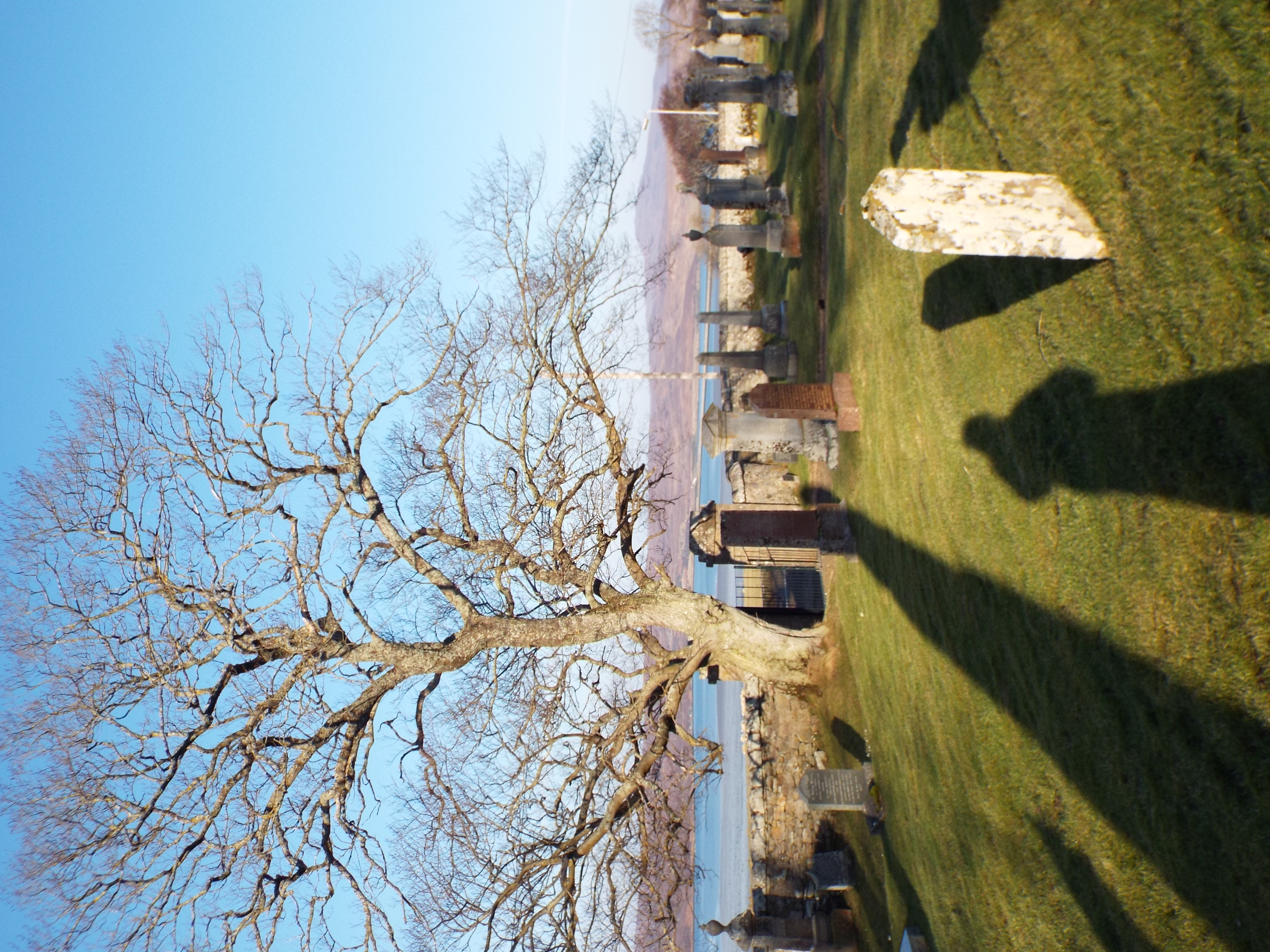 View from the graveyard at St Andrew's Church, Tongue