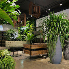 cua-hang-cay-canh-beegreen-1.jpg