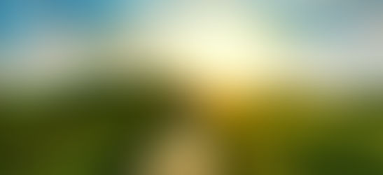 Path of Self-Discovery and Service to Humanity