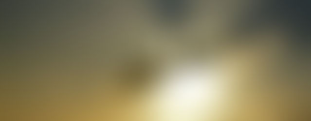 Partners in the Plan