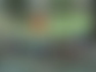 [:en]NGOF Annual Reflection: December 18 – 22, 2017[:]