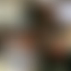 Cambodia CSOs are curious into World Bank Country Partnership Framework and Multilateral Development Banks