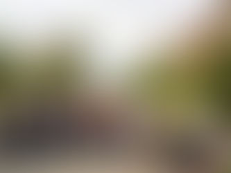 Annual Program Reflection in 2022