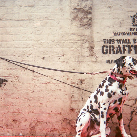 Kickstarter for 2017 MyLondon calendar is launched!