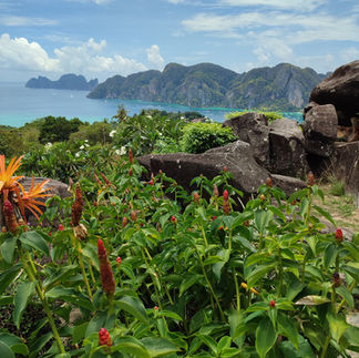 view point phi phi don