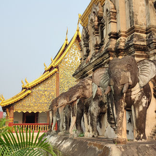 temple Wat Chiang Man, Chiang Mai