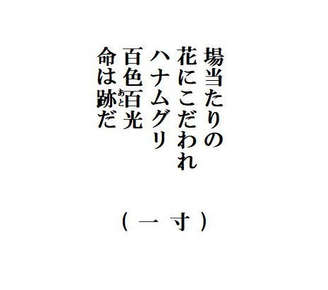 一寸