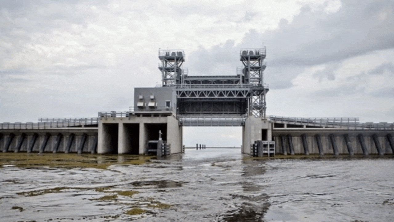 Coastal Restoration.gif