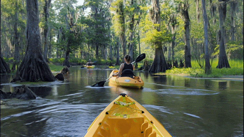 kayaker.gif