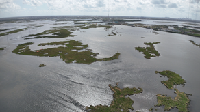 What is the best tour to take in New Orelans