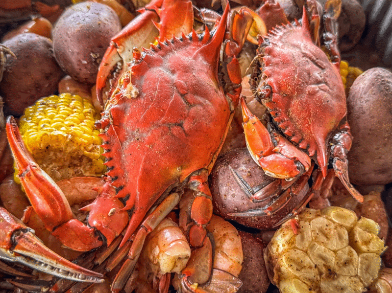 Cajun_Seafood_Boil_Experience.gif