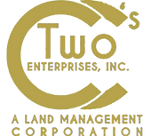 TwoCCsEnterprisesLogo_gold.png