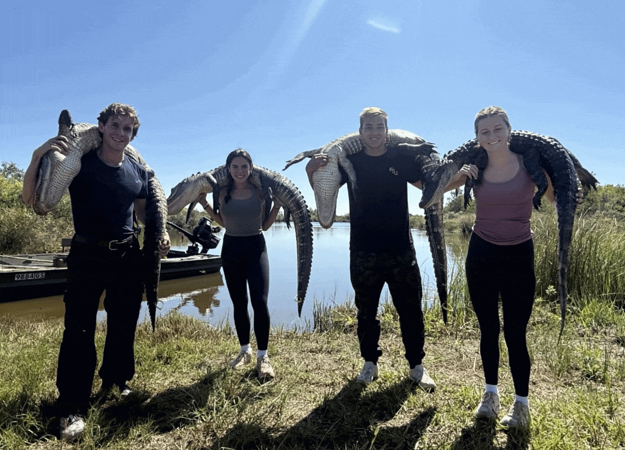 AlligatorHunt4.gif