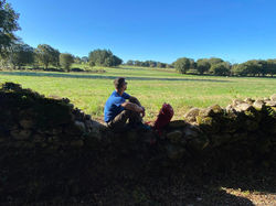 Camino 3