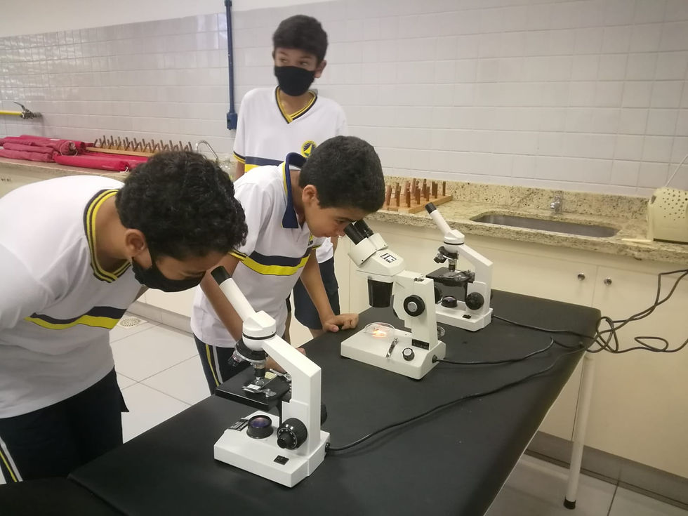 Laboratório de Ciências