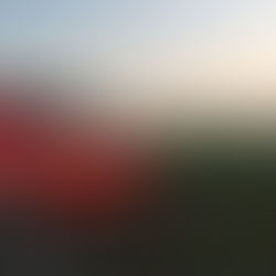 Gakkika-Houseで車を持つという選択肢
