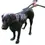 Thumbnail: Bungee Dog Lead with Traffic Grip Anti Shock lead attachment