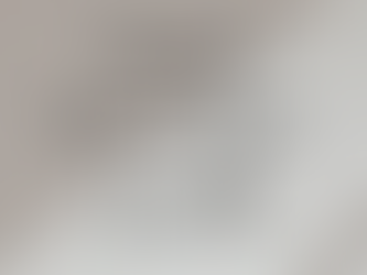 Morning Glow Newsletter Vol 17