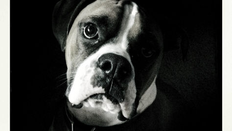 Rest in Peace, Macallan