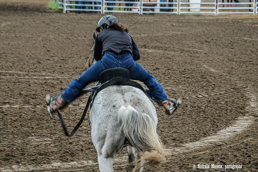 DSC_3846-2-DeNoiseAI-clear