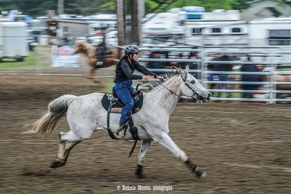 DSC_3839-2-DeNoiseAI-clear