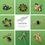 Thumbnail: Audra's Brooches
