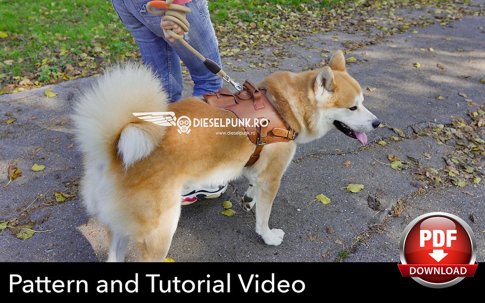 Thumbnail: Dog Harness Pattern -Leather Harness with Pocket DIY - Pdf Download