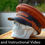 Thumbnail: Leather Hat PATTERN - DIY Hat - Cap Pattern - Video Tutorial