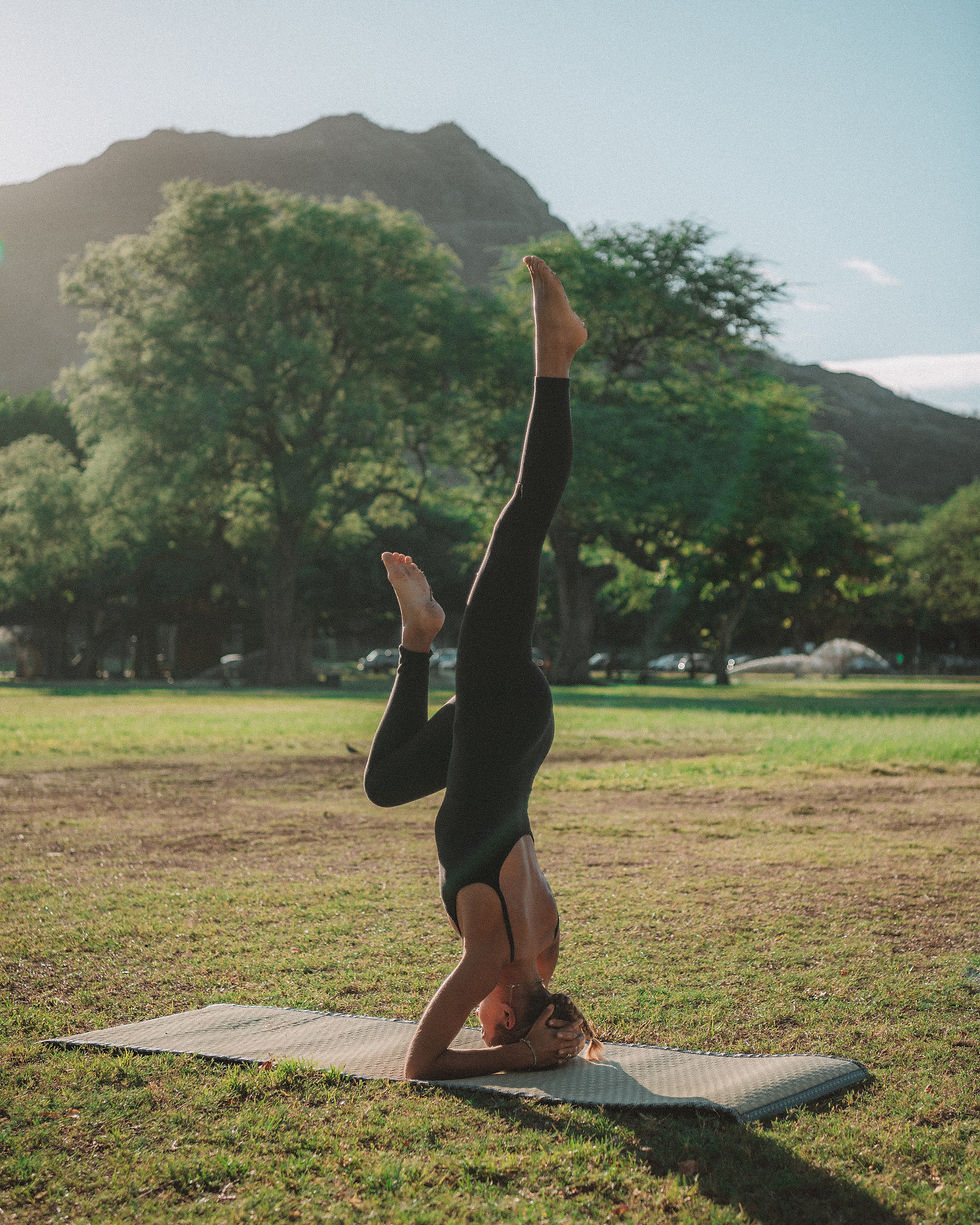 サムネイル： Plain (プレーン)