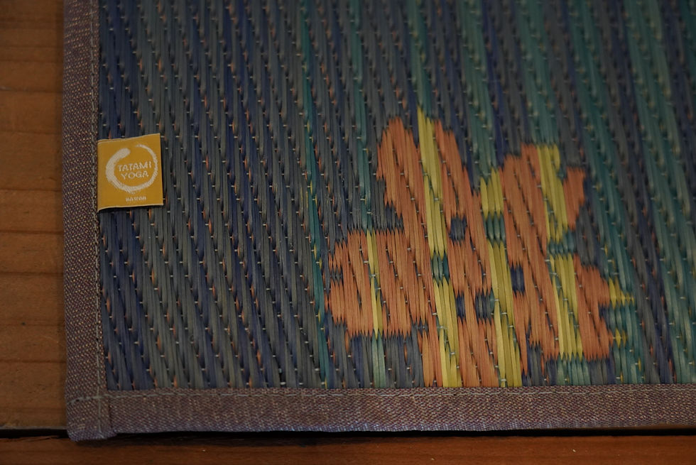 サムネイル： Sakura Fuji (サクラフジ)