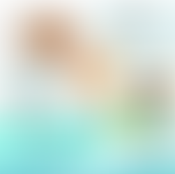 きずな子ども食堂 NPO法人Sports Kids Station 20251122