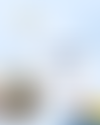 【2025】夏インターン SORASPORTS