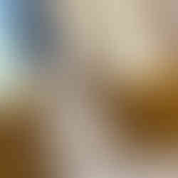 私は体育が嫌い展 展示11 合同会社SORA SORASPORTS