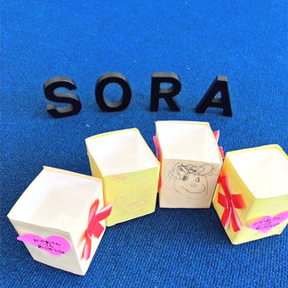 NPO法人Sports Kids Station スポーツアスリート学園 SORASPORTS 制作